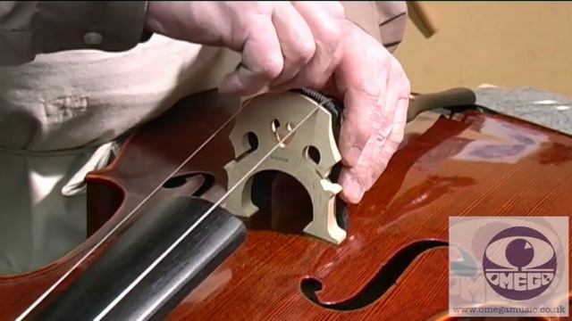 How to Set Up a Student Cello Correctly смотреть онлайн