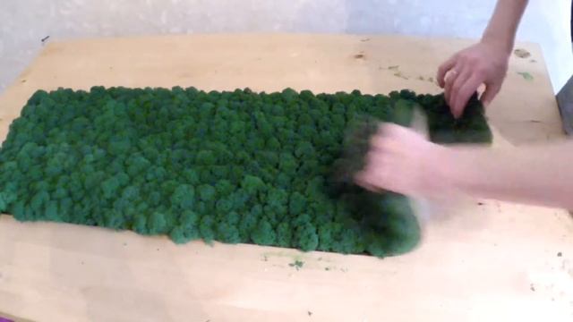 Гибкие панели из стабилизированного мха ягель смотреть онлайн