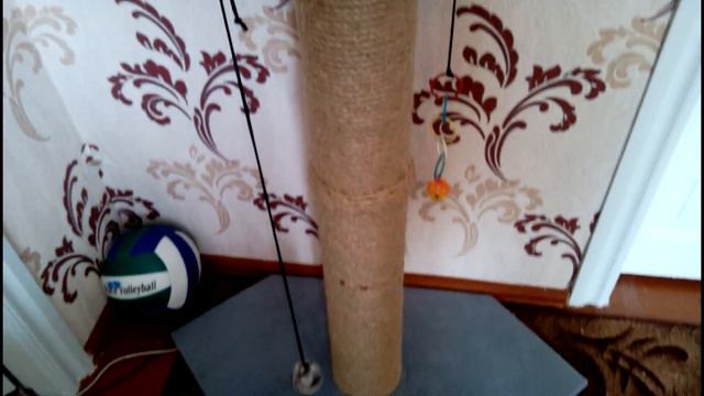#Cat. #Кошка трюкачит. Прикольная игра для Котэ. Funny cat games - YouTube. смотреть онлайн