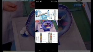 Водородный стержень H2O WHIEDA +77711375983