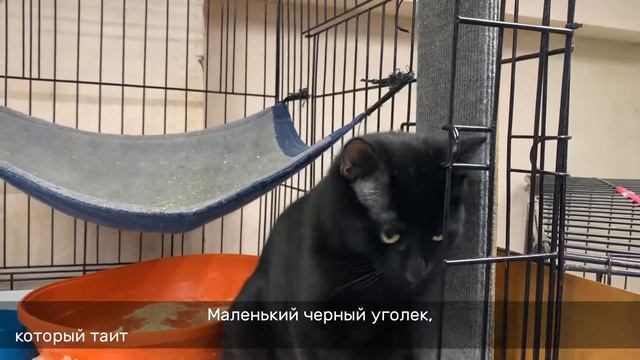 УГОЛЕЧЕК смотреть онлайн