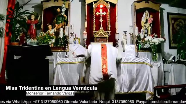 Misa: San Juan Gualberto, Abad. Comn. Santos Nabor y Felix, mártires. 12/07/2022 смотреть онлайн