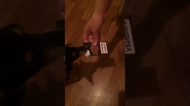 Собака алкаш- горе в семье! смотреть онлайн