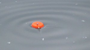 Ловля щуки на поплавок с берега! Рыбалка в конце мая начале июня!