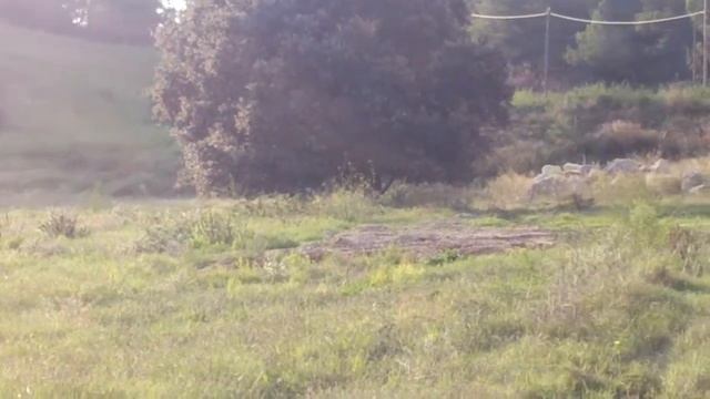 RPM-ATP honda NS-1 NSR campo смотреть онлайн