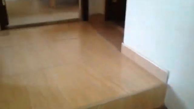 Отель Дельфин Коттедж VIP смотреть онлайн