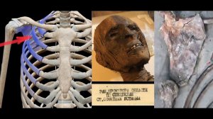 Перевал Дятлова. Множество важных тем