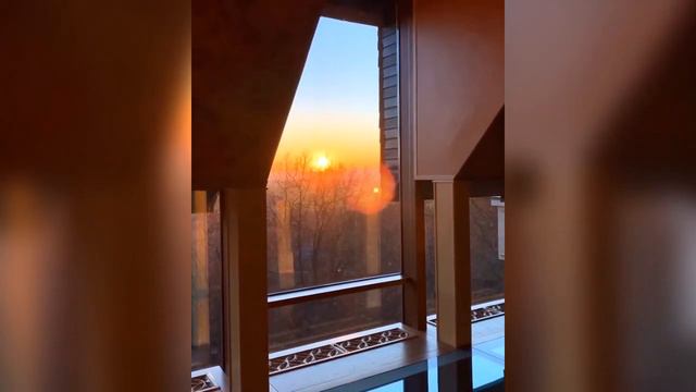 «Профессионалы»: Гарри Галкин показал мастер-класс в поднятии тяжестей, а Лиза - в красноречии смотреть онлайн