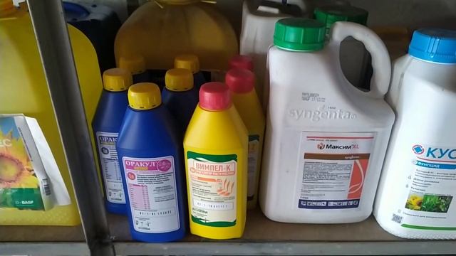 Чим обробити часник перед посадкою. Препарати та норми. смотреть онлайн