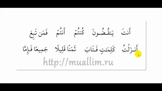 Практика, сокрытие ن.mp4 смотреть онлайн