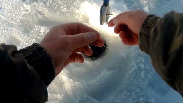 Рыбалка на реке Саксагань смотреть онлайн