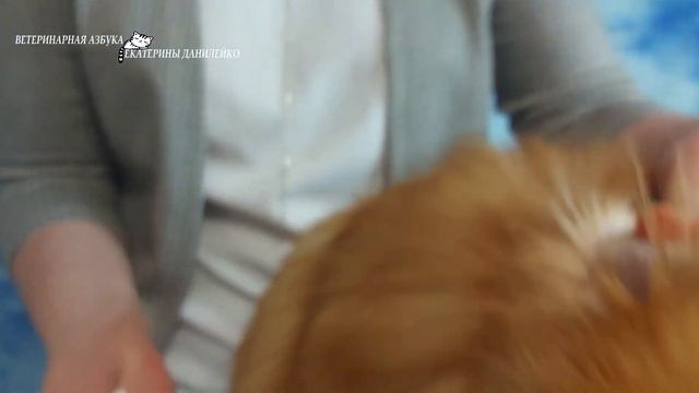 чистка ушей смотреть онлайн