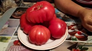 Томат Инжир розовый.