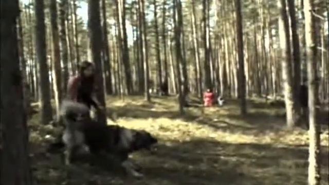 Тестирование ШОС Арес, второй подход смотреть онлайн