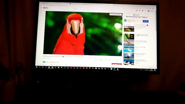 Monitor 24 Ls24f350fhlxzs Samsung смотреть онлайн