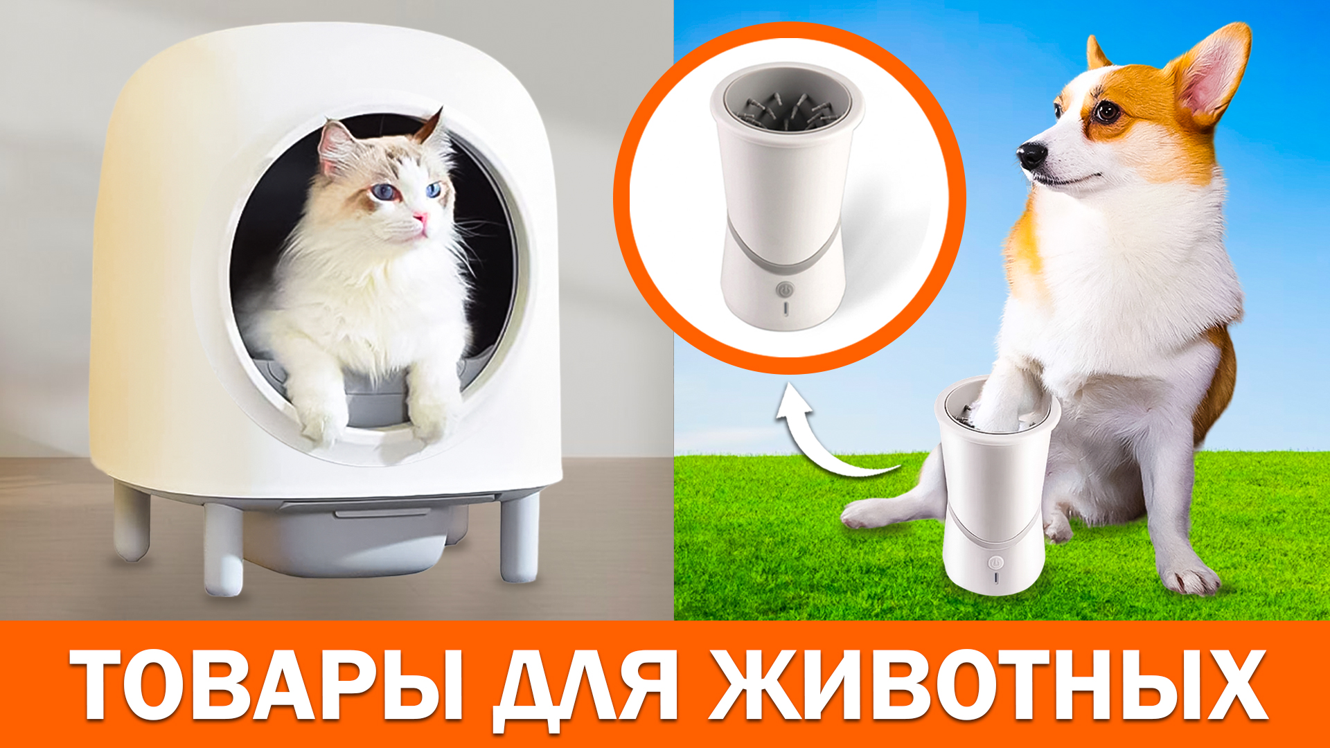 10 полезных гаджетов для домашних животных смотреть онлайн