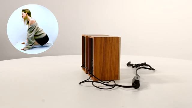 НИКС Компьютерный Супермаркет: видео про Компьютерные колонки Ritmix SP-2054W Brown #1 смотреть онлайн