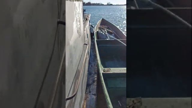 Охота на утку, на раскатах,Астрахань.Мороз, лёд, в поисках чистой воды. смотреть онлайн