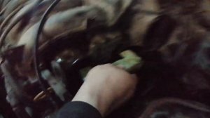 Замена комплекта ГРМ, а так же сальников Распредвалов и Коленвала на Ниссан Альмера