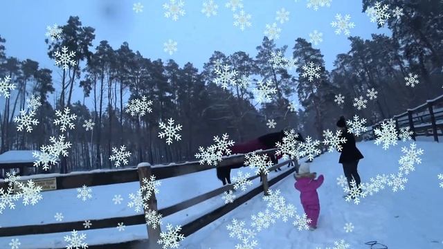 Кормят лошадей в парке Дракино! смотреть онлайн