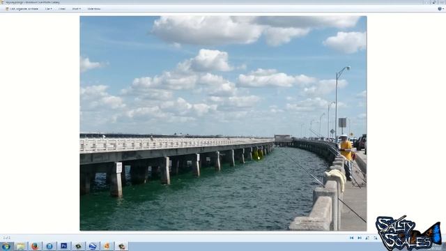 Skyway Pier Grouper Secrets смотреть онлайн