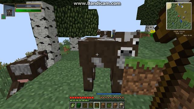 Minecraft-дополнительные биомы!LP#1 смотреть онлайн