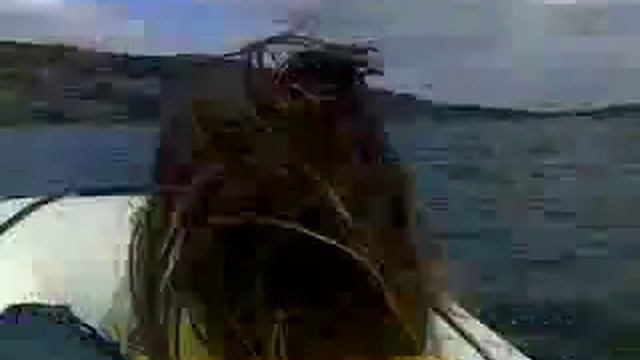 Mercury 15hp outboard 310 quicksilver Infatable boat смотреть онлайн