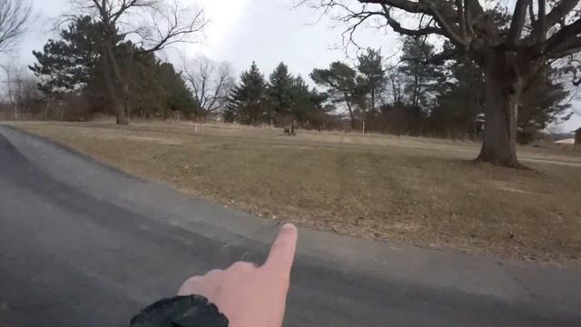 How to improve archery skills!! смотреть онлайн