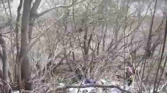 ПАНТОШКА 23.04.22 БЕРЕГ ИРТЫША ПРЕВРАТИЛИ В СВАЛКУ!(3) смотреть онлайн