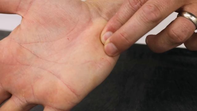 Ball Python BITES…. How Bad Are They? смотреть онлайн