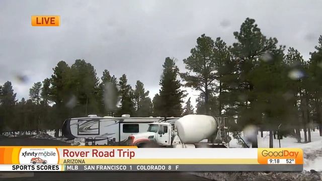 Rover Road Trip, 9am - 3/11 смотреть онлайн