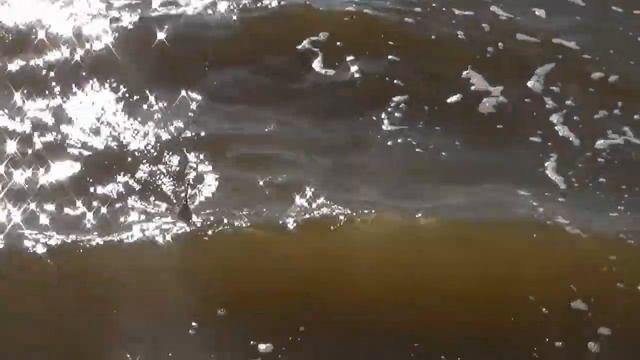 Мы начали движение на СИНГУЛЬ смотреть онлайн