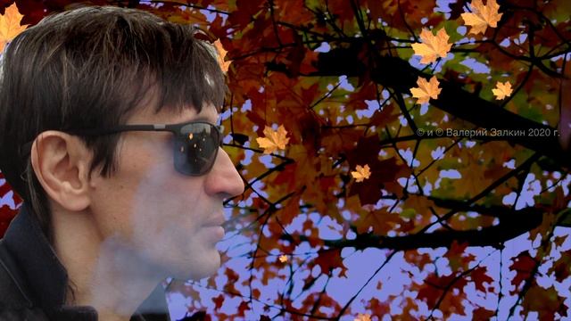 Облетает листва. Валерий Залкин. смотреть онлайн