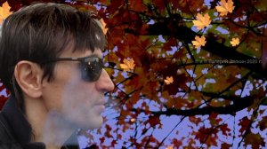 Облетает листва. Валерий Залкин.