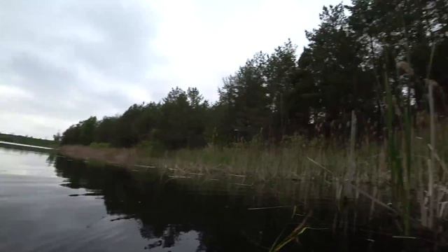 НА ПОДВОДНОЙ ОХОТЕ! ОГРОМНЫЙ КАРАСЬ НА УГЛЯХ С ОВОЩАМИ смотреть онлайн
