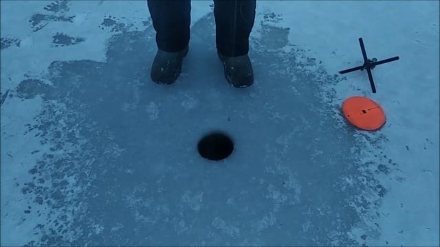 С рассветом форель клюёт на стационарные снасти. Клёвое место, Лосиный остров, верхний водоём. смотреть онлайн