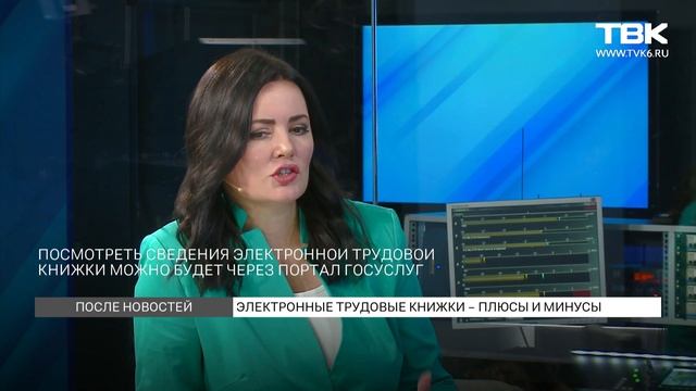 Елена Полищук о плюсах и минусах электронных трудовых книжек смотреть онлайн