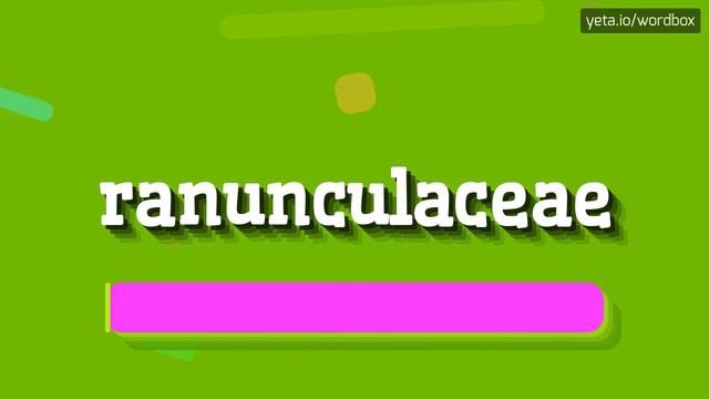 RANUNCULACEAE - HOW TO PRONOUNCE IT!? смотреть онлайн