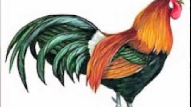 Чичеры. Украинская песня. смотреть онлайн