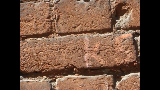 Дом с секретом. Носовы?