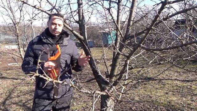ПРАВИЛЬНАЯ ОБРЕЗКА САДА ЗАЛОГ ХОРОШЕГО УРОЖАЯ! смотреть онлайн