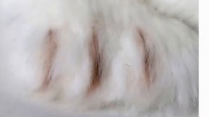 Мягкие игрушки морские животные