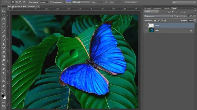 Создание капли дождя в Adobe Photoshop CS6 смотреть онлайн