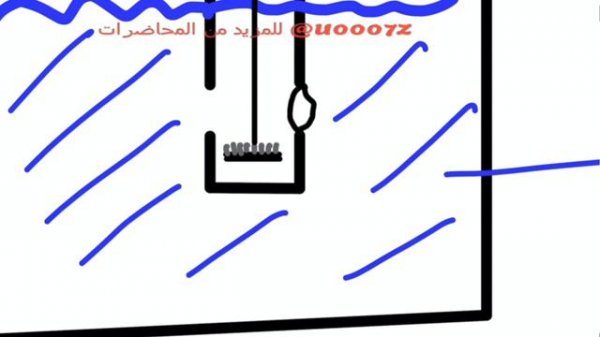 الفصل الرابع - المحاضرة 5