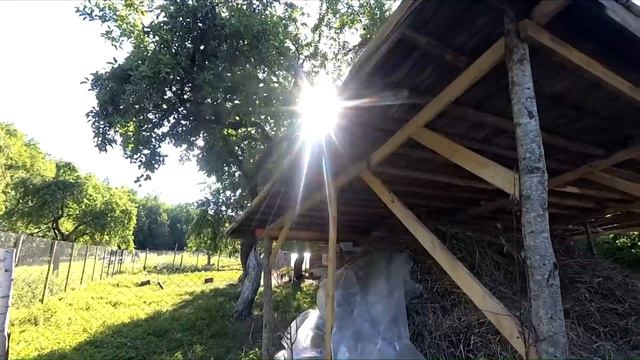 Доставка и навес для сена смотреть онлайн