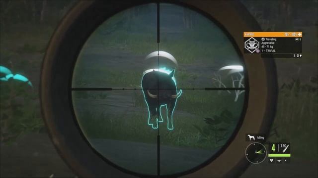 Vurhonga Savanna Warthog Guide! TheHunter Call Of The Wild 2023 смотреть онлайн