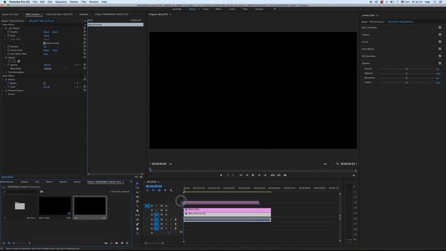 Как сделать прозрачные титры в Adobe Premiere смотреть онлайн