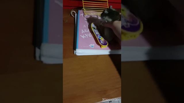 Учим трюк на пенерборде для хомяка Хипстера смотреть онлайн