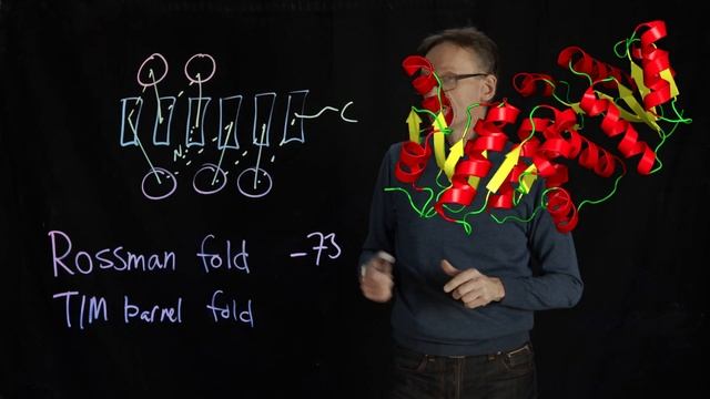 Lecture 07, concept 26: The Rossman fold - one sheet surrounded by helices смотреть онлайн