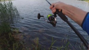 Ловля окуня на вертушки. Спиннинг с берега.